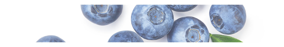 Dietician corporate wellness services